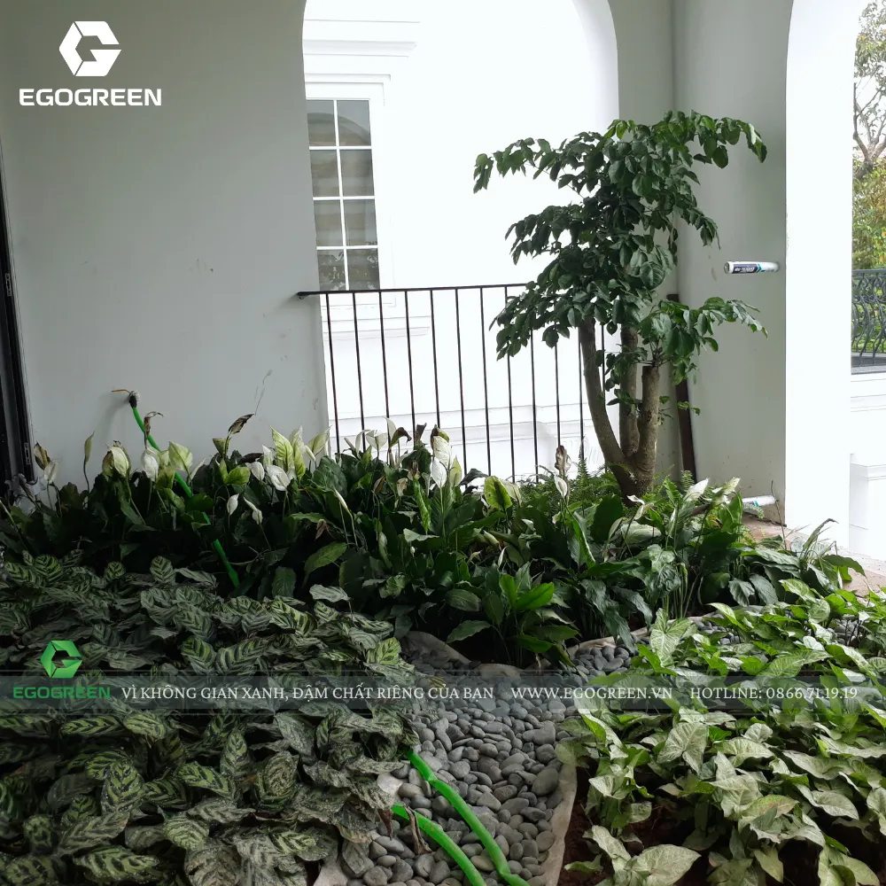 Chúng tôi kiểm tra kỹ trước khi nghiệm thu cùng khách.